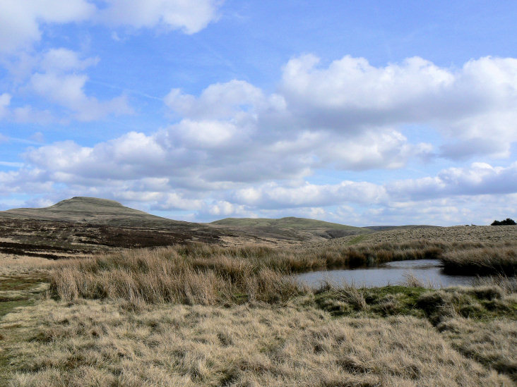 High Moor High Moor